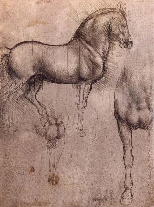 LEONARDO da Vinci Studies of horses Norge oil painting art